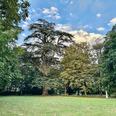 ゲストハウス Chateau Des Feugerets ベレーム