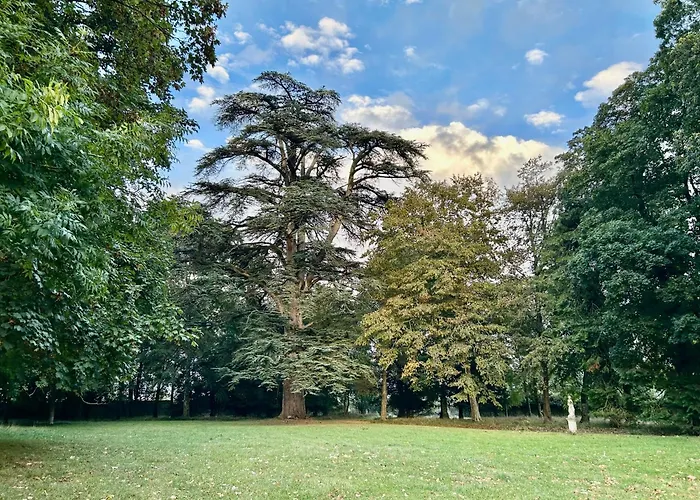 Gæstehus Chateau Des Feugerets Belleme