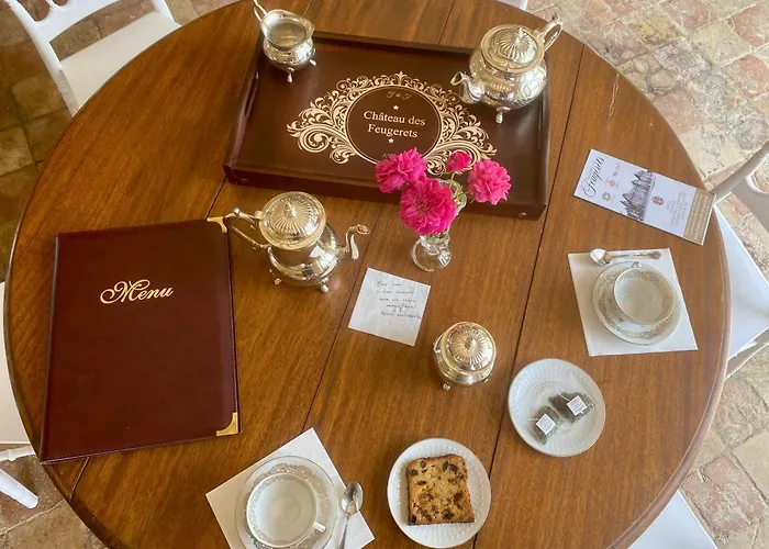 Gæstehus Chateau Des Feugerets 4*